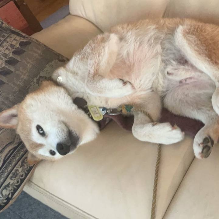 Cc890fb0 29ce 4c36 a065 cbb3e0605a5a 1659656017576