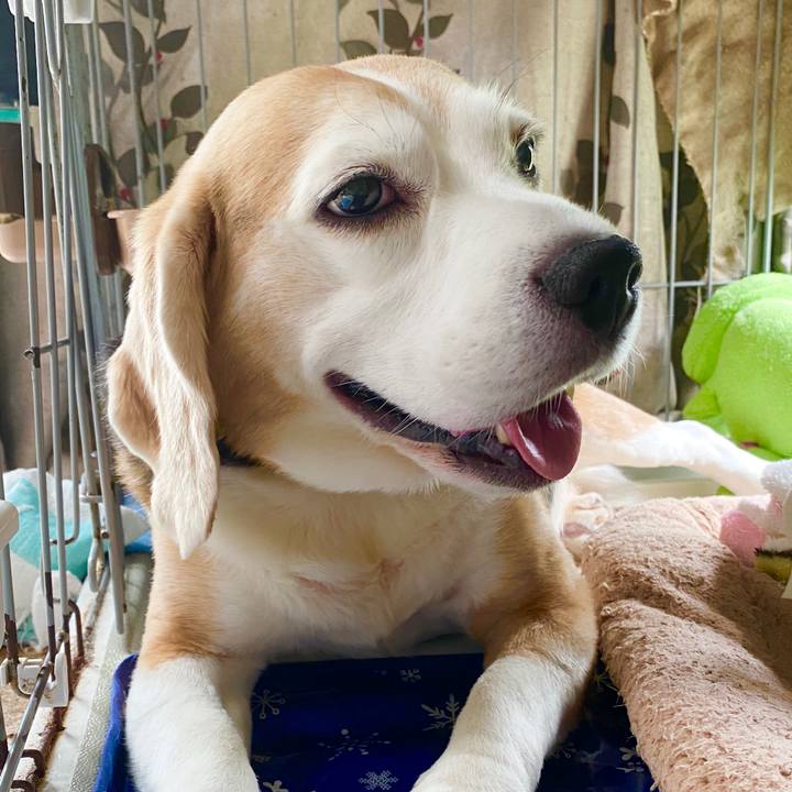 Cc893e46 20dd 4621 a0b9 f8d94baec84c 1595476843946