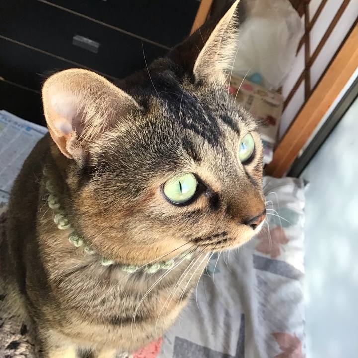 Cc89418f 8055 449b 8e13 a58396416468 1639610049724