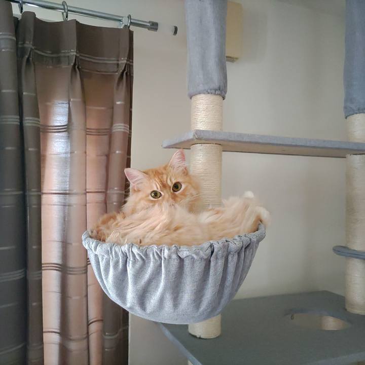 Cc896fea fa86 40e0 b42b 661958b8f6ee 1656572532771