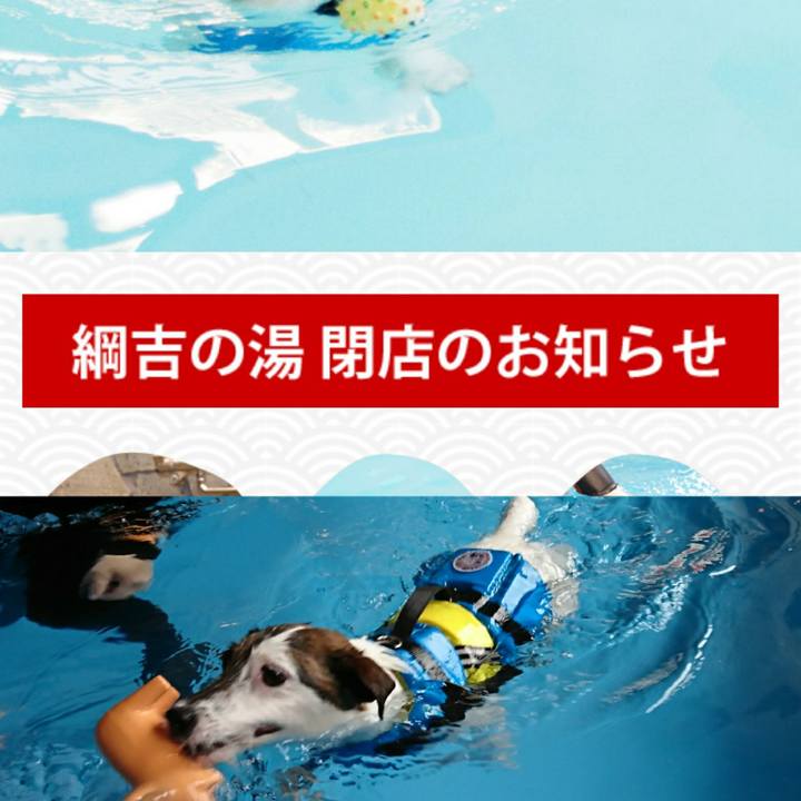 Cc899a2e 3a9a 4b3e b49c 99b30418335c 1537917749966