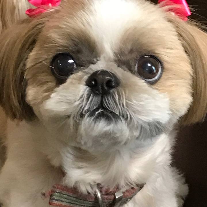 Cc89a156 f0b8 408d b3a6 0891e76779d7 1521765060438