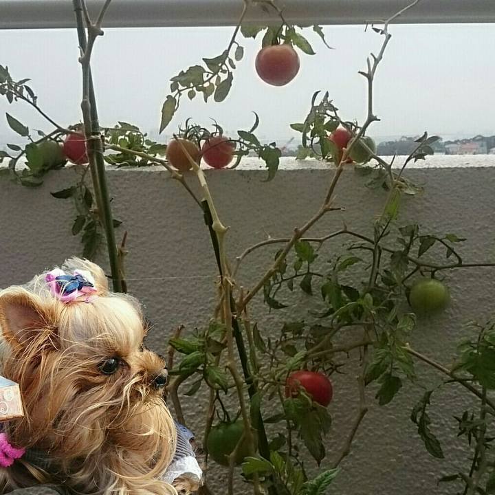 Cc8a0d19 cf81 4034 b12a 5670221836e7 1543372852834