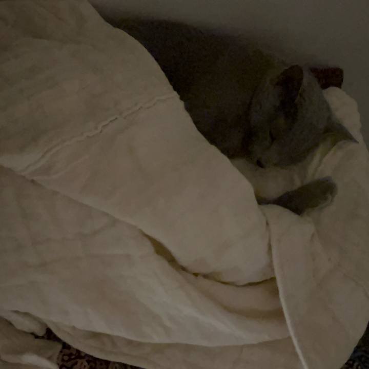 Cc8a38f8 3599 45cf aaa1 7a88f61fbfe6 1736589401889