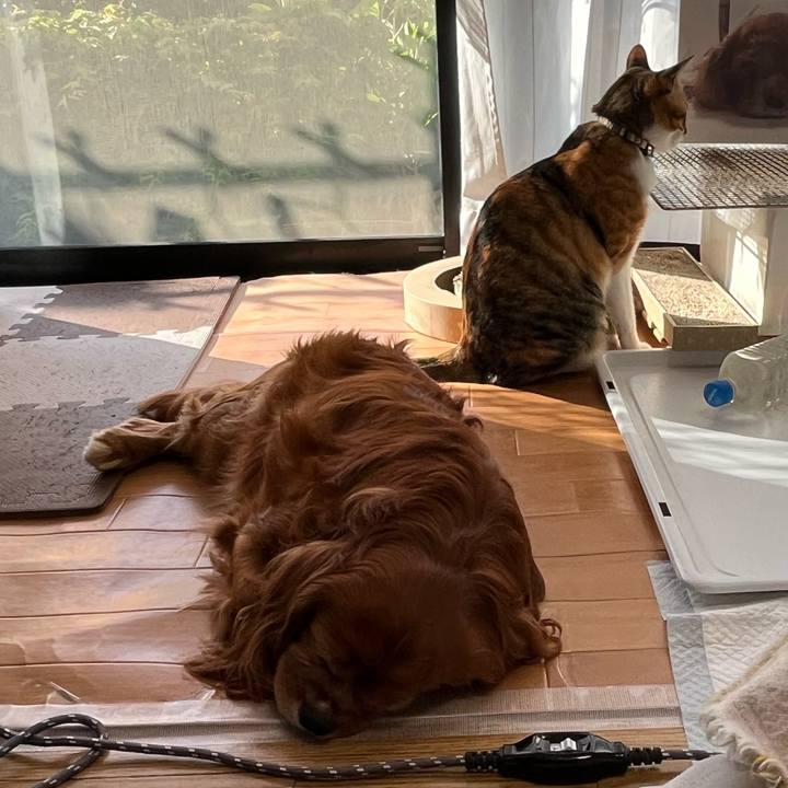 Cc8a7547 c5da 4abc a809 64b59a0c2466 1682548015142