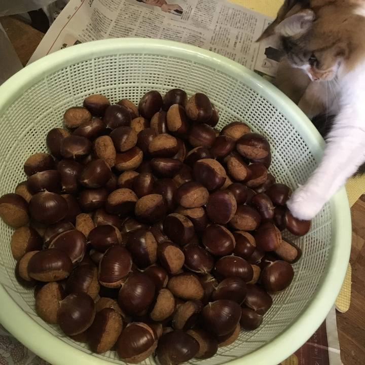 Cc8ad033 77d7 4df7 bab5 b83d71745260 1553551215658