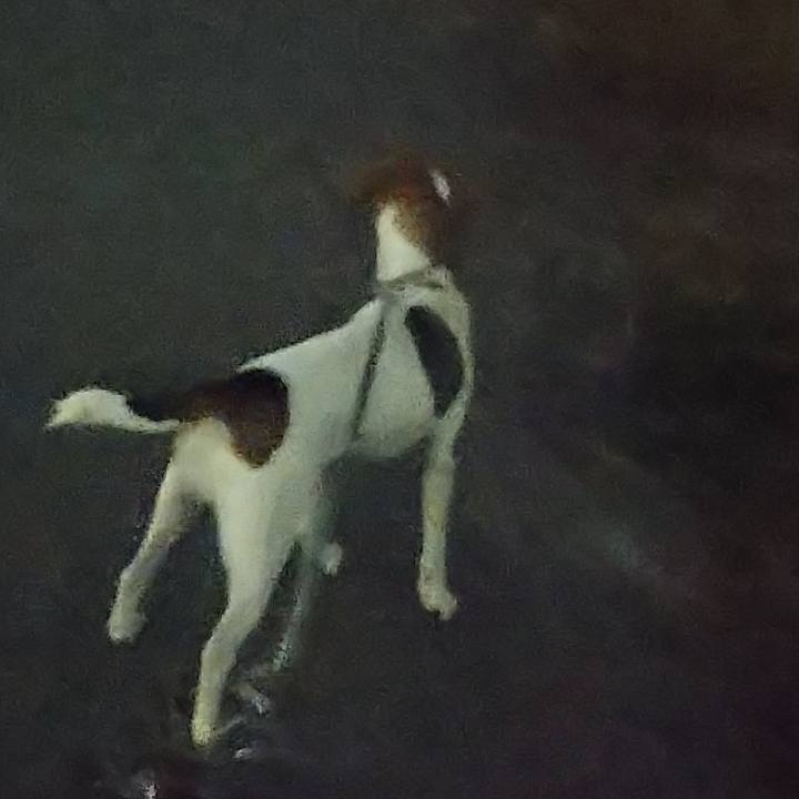 Cc8add08 768f 486c ba07 6fd698283401 1577095075266