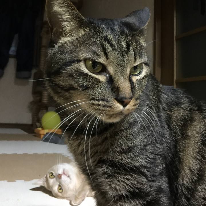 Cc8afb08 0b5b 483d a3dc 070ca75a7db0 1528107868103