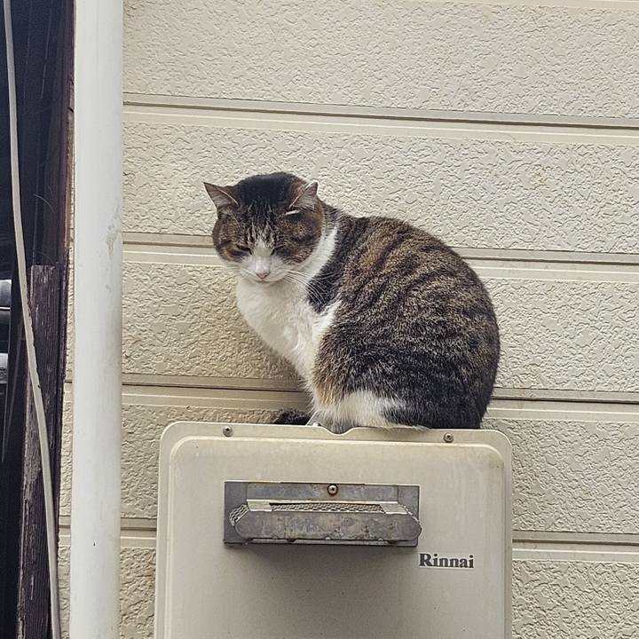 Cc8b029e 5fbc 4bf9 abe5 dfc9fe452608 1736733847249