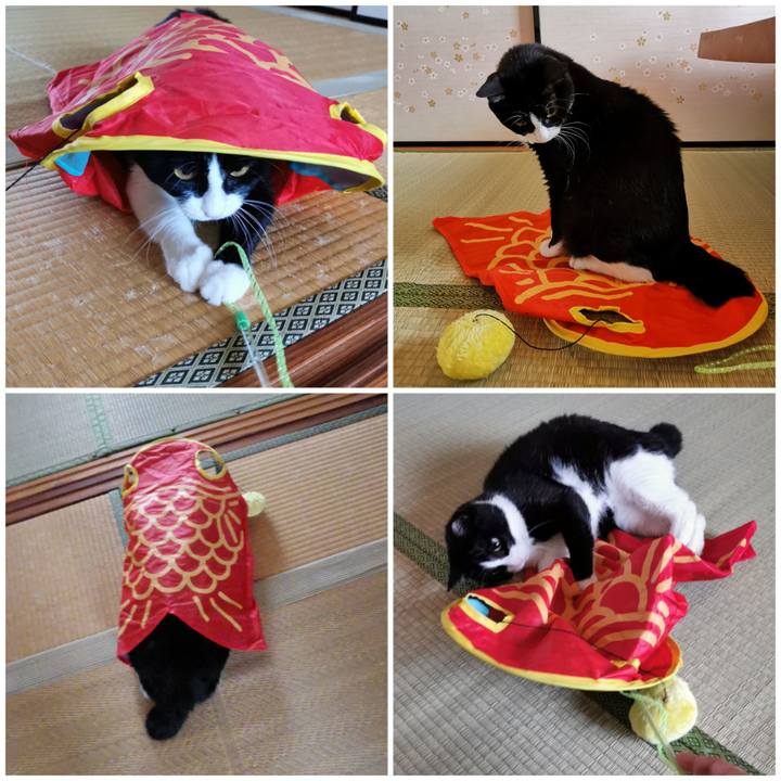 Cc8b187c d99b 430b b0f1 b94903e4f8ef 1659163634713