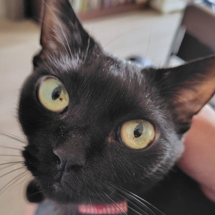 Cc8b1bf1 b15b 45c8 9db1 219a2e44d4bc 1754119533670