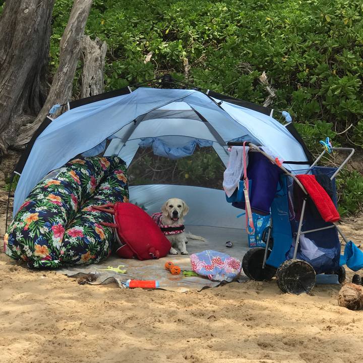 Cc8b36e9 ea04 42fa a30b 37d73fae5be9 1531724340572