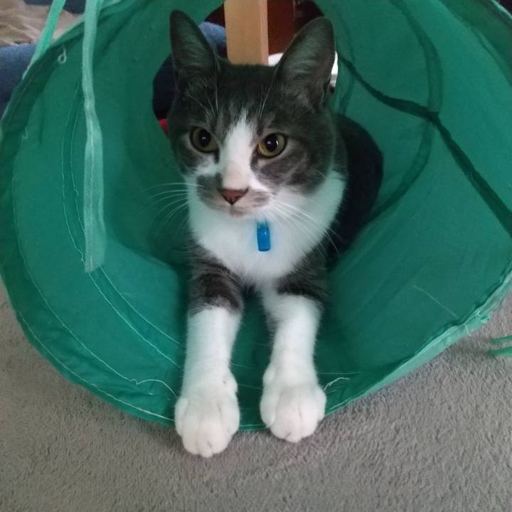 Cc8b3fa2 3d44 47ba b748 c72228993459 1598139888007