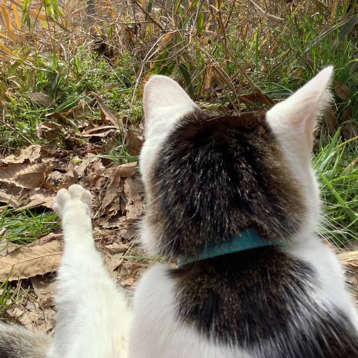 Cc8b5fbd 0ad2 45c8 a727 4a75e145439d 1614695729118