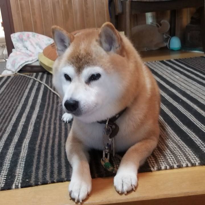 Cc8b7501 c8a5 4d4c 8a57 2f7a54df9af7 1703038049150