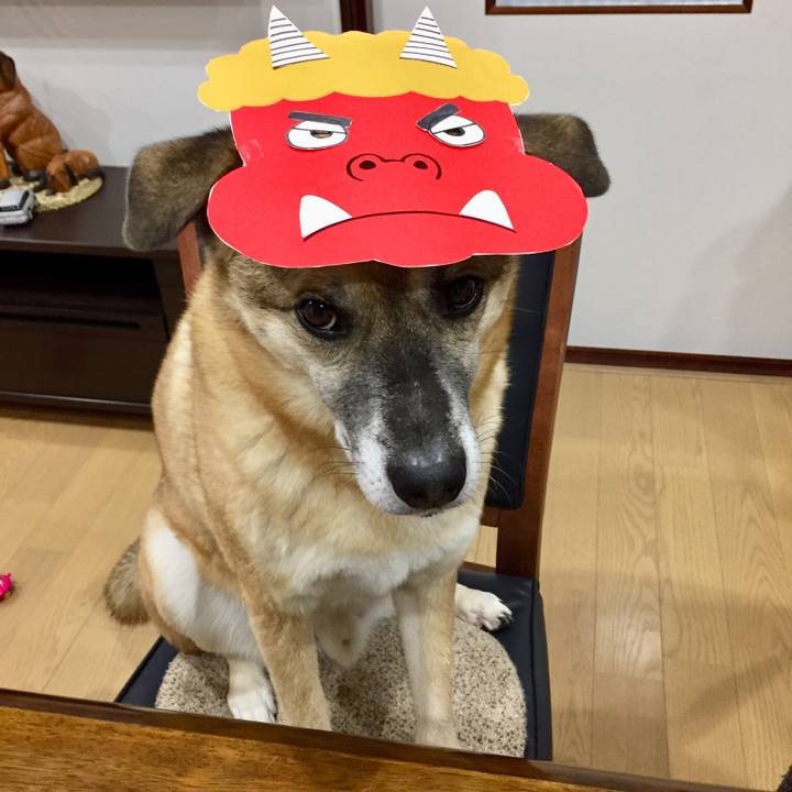 Cc8b7dd5 9d8f 4a51 9bbf a807d70266e1 1517658405157