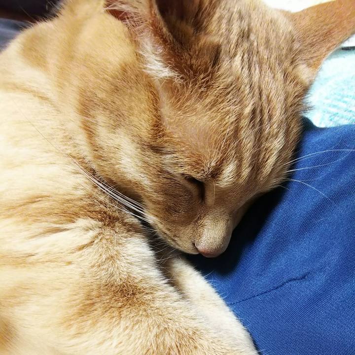 Cc8b970b 0541 4ddd bd40 c15ebb79913d 1582717938307