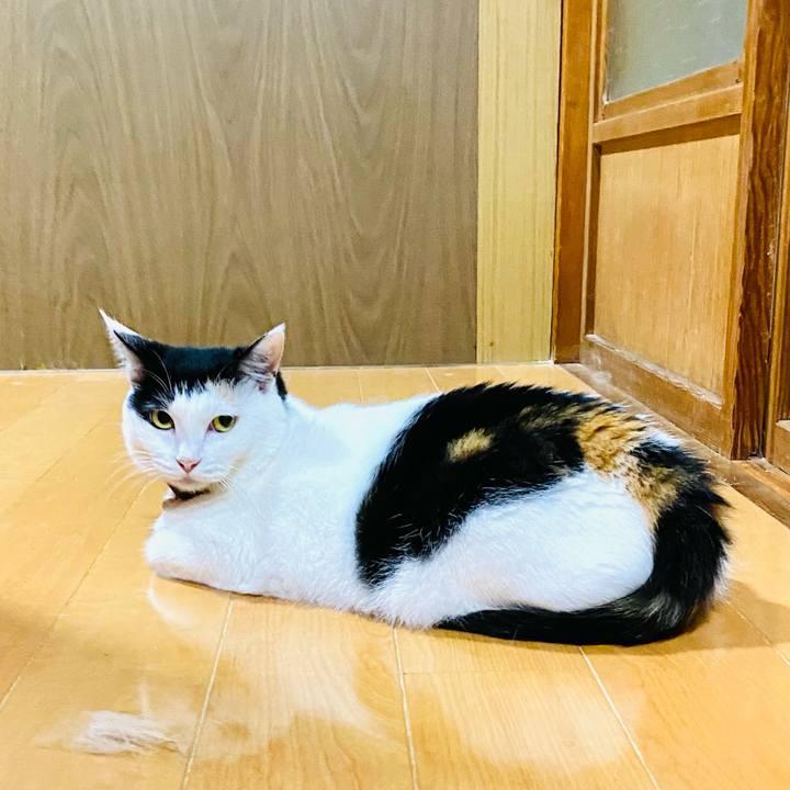 Cc8bb22c a5d9 478d 8677 079a3c7b2782 1691620538852