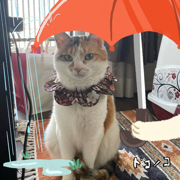 Cc8bb425 8aa7 49eb 96fe f8790adb7a9a 1749526761477