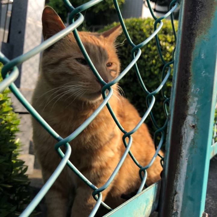 Cc8bdfee 3472 4b22 a2ef 1245638cb15a 1558189102813