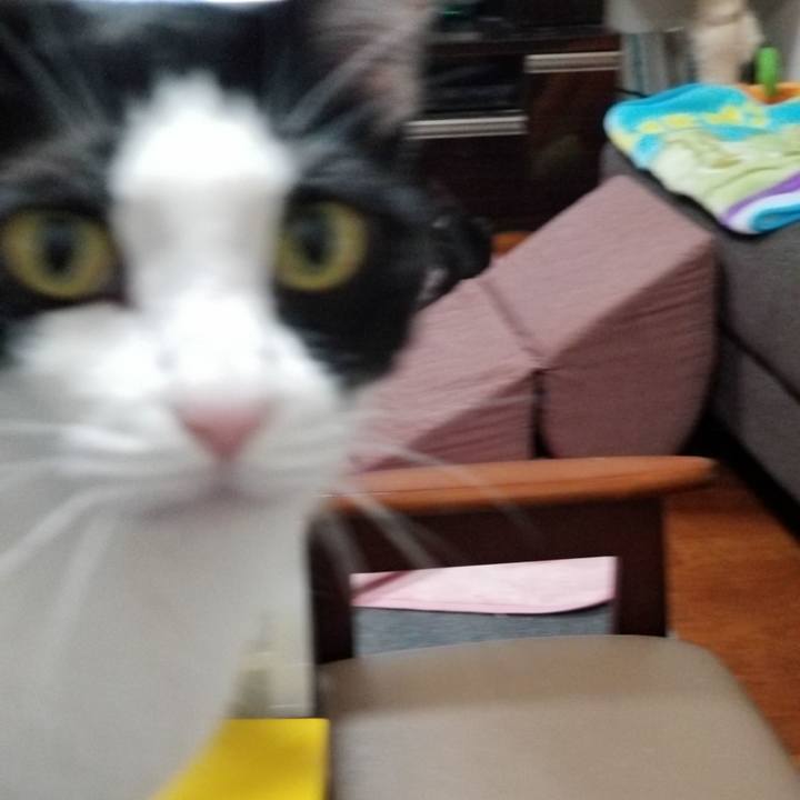 Cc8bea0f e2a4 45b8 a646 6f4c9da3aeb4 1553817799265