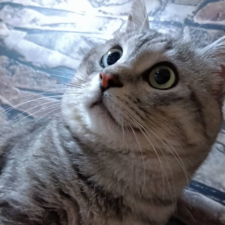 Cc8c0d51 0633 4327 98ef 4bc323479eb7 1579905668365