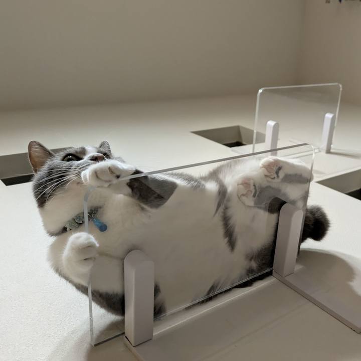 Cc8c0ea4 f06b 42d0 9b85 4fa6810d3599 1754654789816