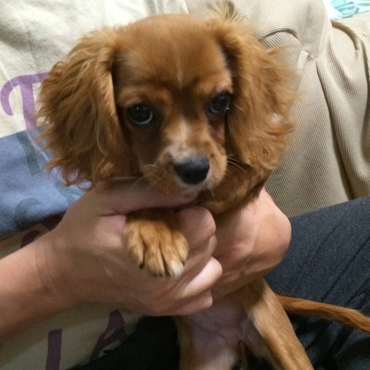 Cc8c2728 24a6 424e 8cd0 3709d2f50a23 1535151668578