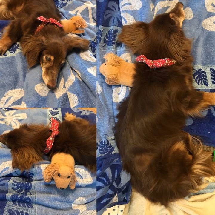 Cc8c6170 277c 47ae 8252 f48370028590 1596098512170