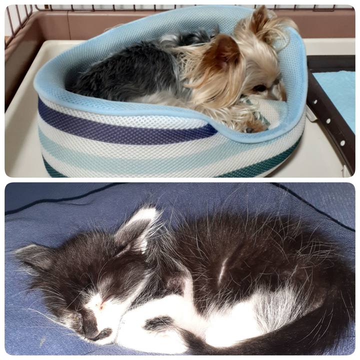 Cc8cafed a8de 4d01 bd8e 4d727f9cd598 1693051313038