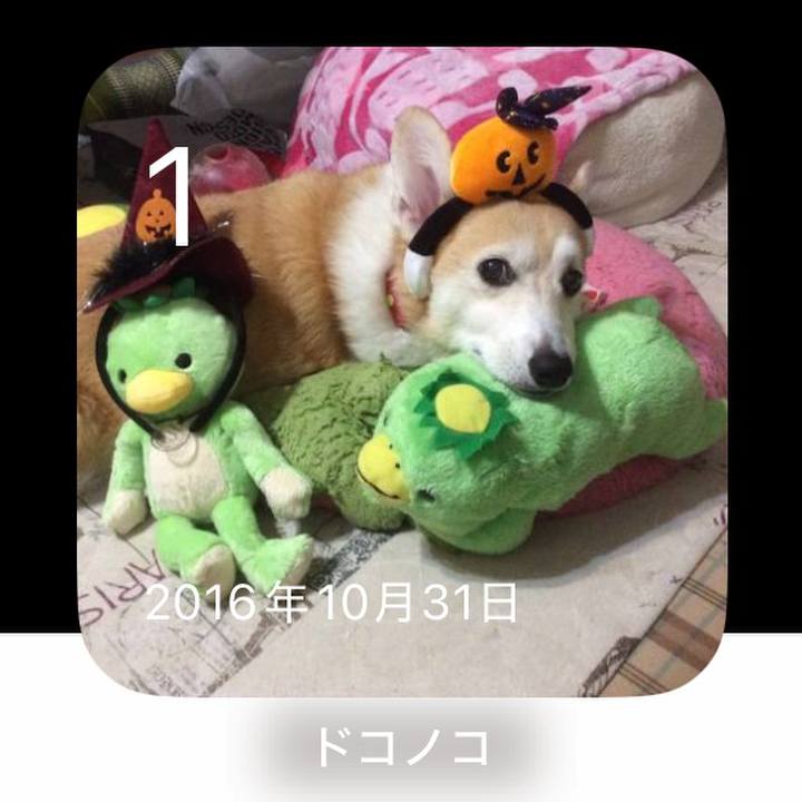 Cc8cb37f dba9 4886 af97 4ddd9689aa72 1761965610512