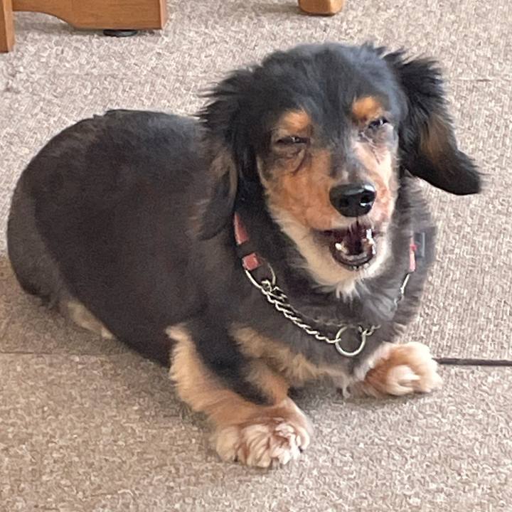 Cc8d3e62 8f9f 4923 815b f84e9716cb99 1618868799258