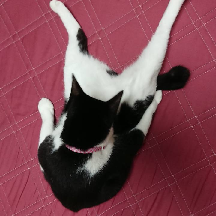 Cc8d7d12 17fa 44f6 b308 197e13fe3905 1631924791314