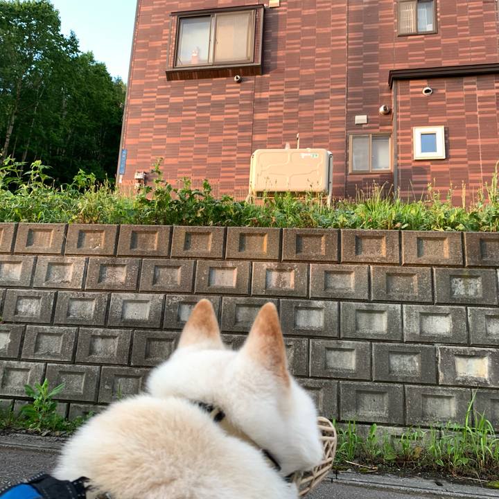 Cc8d89f6 b53d 4332 bbcf 6447b49a9182 1660335602394