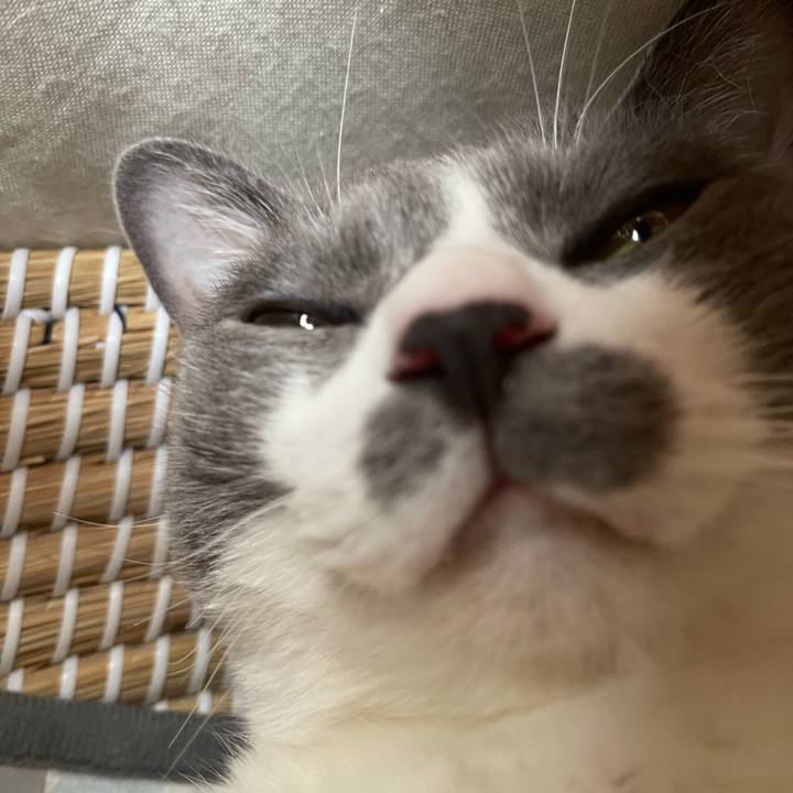 Cc8dcc3c 920b 48fd adfa c96b0d095754 1758584638841