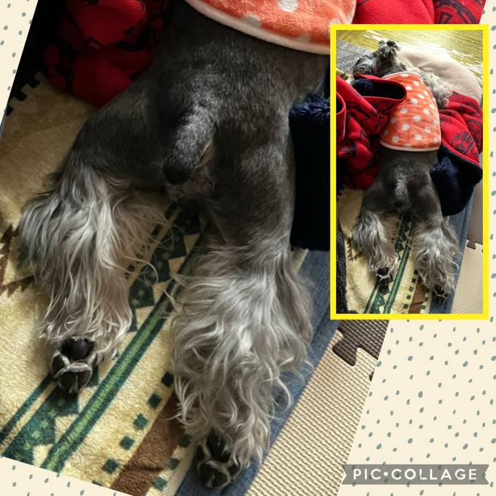 Cc8e0d0a e7e2 4035 8e0d aaf7e01eced8 1740391972589