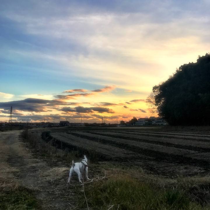 Cc8e6f85 d84f 480c 9b3f c4ea7a6f39ae 1514470975895