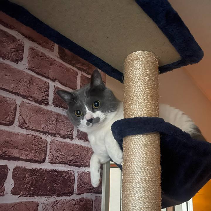 Cc8e86fe de6f 413c 8bfa 15493d4993e4 1705530366741