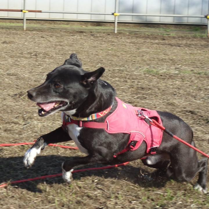 Cc8e87d5 2f1f 444e af6d e2c838455acb 1697590018674