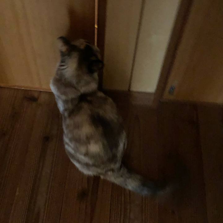 Cc8e964c 4804 4bed 874f ae5ed9f2ea42 1773675370441