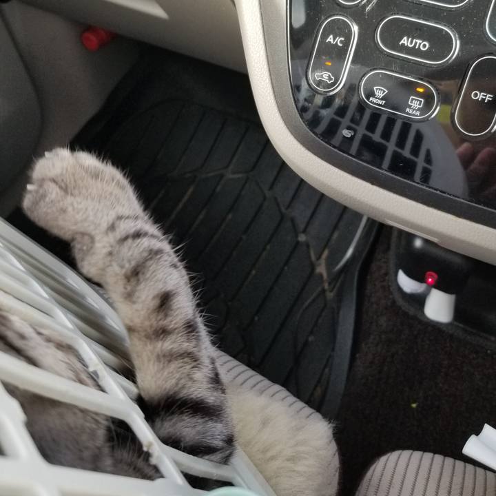 Cc8e9d9a a6de 43c4 8d84 8eb3aec74f54 1673689722419