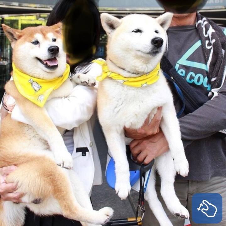 Cc8ed753 1c51 4ec5 adaa b0e7a699f5be 1558354235597