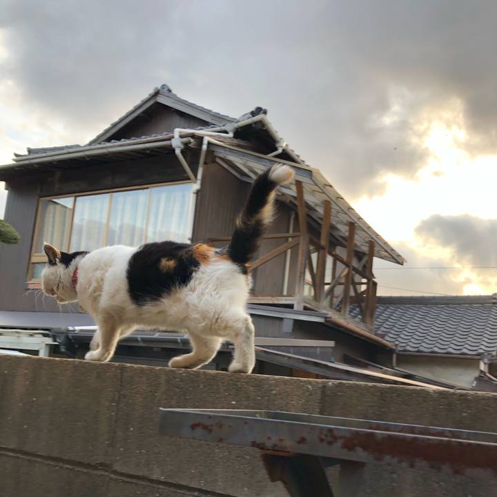 Cc8ee82d 138d 4055 9be6 71cfd0072148 1610838417256