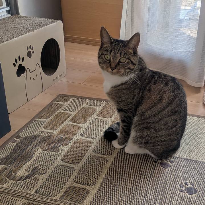 Cc8f50df 3ae0 45ee 8d79 b20f827f2f0d 1753747179389