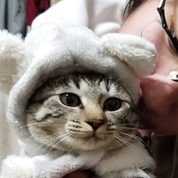 Cc8f8779 8623 4f98 a8d4 988eeb4839c8 1671920403851