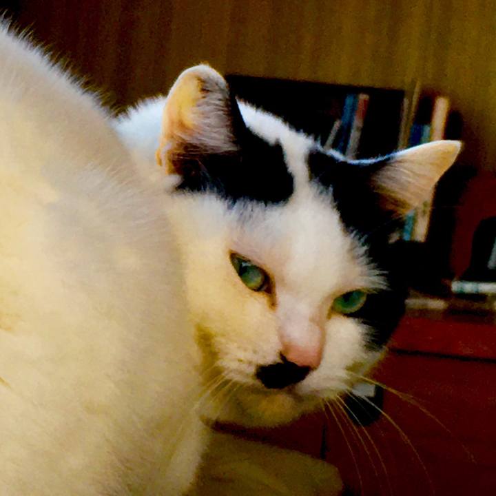 Cc8f9dea 1fc2 42f2 87f5 1fbc998db7d4 1520981054248