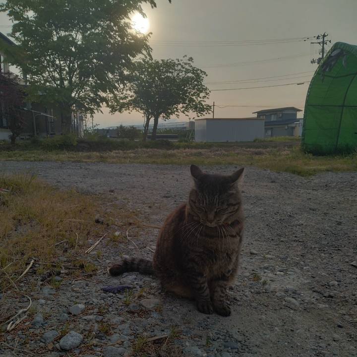 Cc8fb4de 1773 40dd 8780 b86003d7fc99 1683927951404