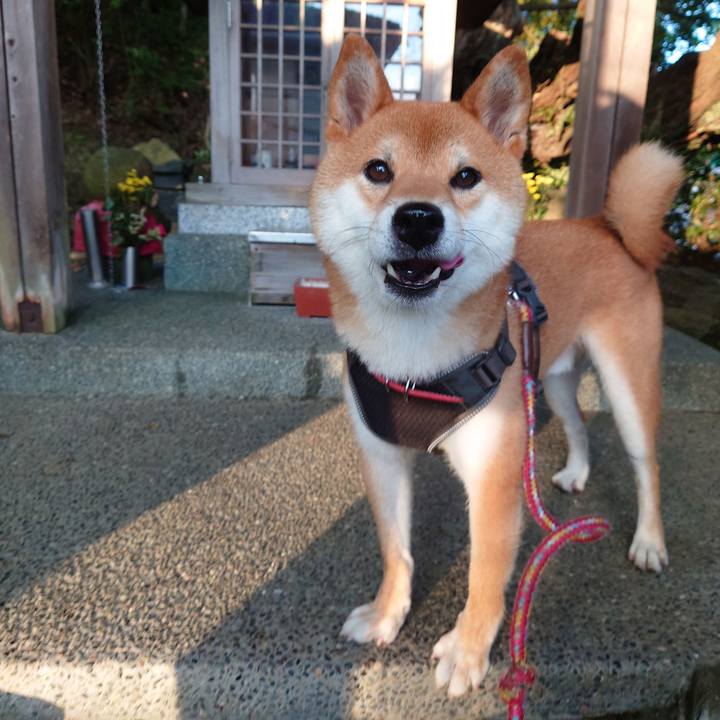 Cc8fb6f2 5951 4187 b9f9 c7dd2c661909 1757204295204