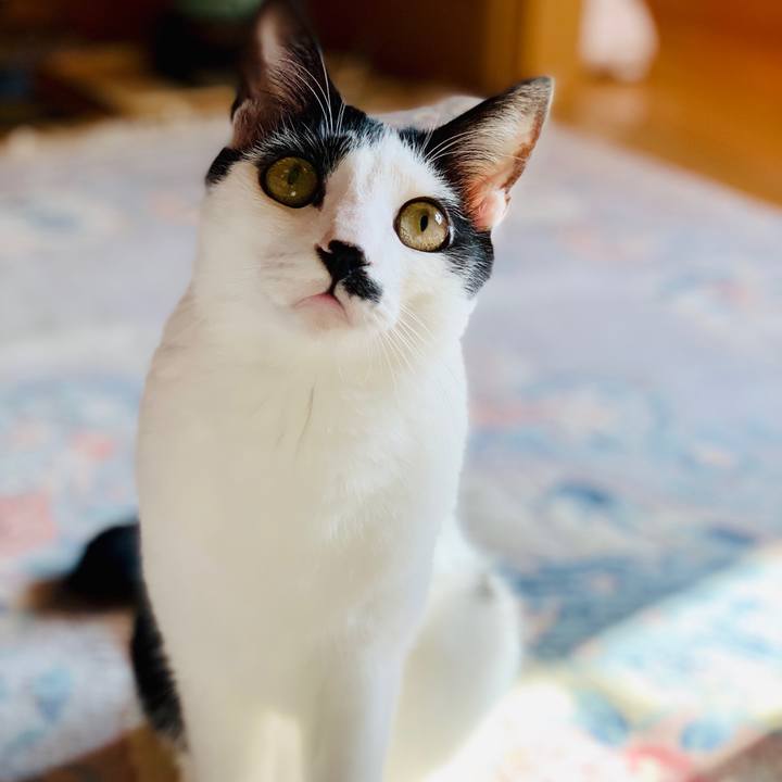 Cc9017ab 26b0 4c2a b423 c0ffe548a9bd 1566686778607