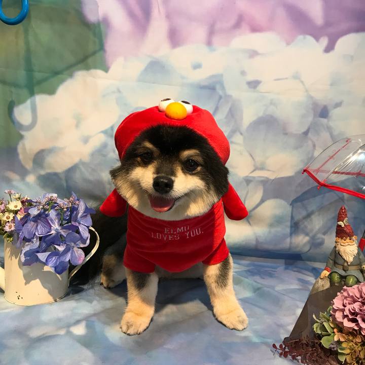 Cc904afc c0a4 4253 8d4a b668f975671a 1530632524245